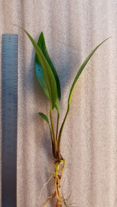 20180522_155024.jpg