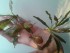 20180522_194915.jpg