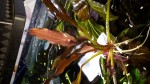 20180526_174544.jpg