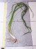 CA28C498-3A3D-44B4-9614-CF411D4EC621.jpeg