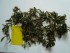 DSC07147.JPG