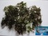 DSC07151.JPG