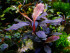 DSCF6028.jpg