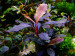 DSCF6028.jpg