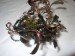 DSCN1339.JPG
