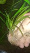 IMG_20180513_193615.jpg