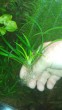 IMG_20180513_193643.jpg