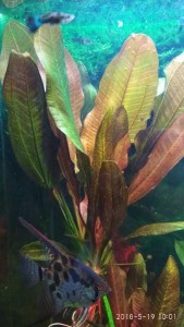 IMG_20180519_100144.jpg