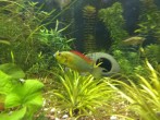 IMG_20180531_154914.jpg
