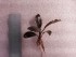 copy_846_copy_341_copy_418_2018-04-24-19-05-27.jpg