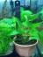 100_2126.JPG