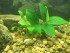 100_2183.JPG