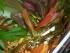 100_5418.JPG