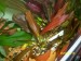 100_5418.JPG