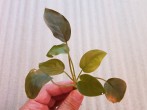 20180601_161302.jpg
