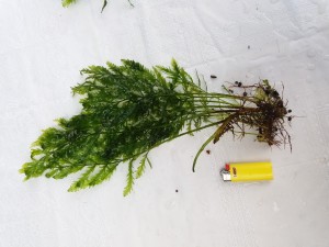 20180603_181626.jpg