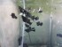 20180613_201356.jpg