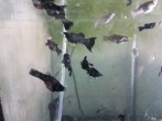20180613_201358.jpg