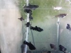 20180613_201359.jpg