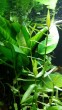 20180618_200219.jpg