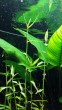 20180618_200323.jpg