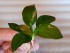 20180626_110321.jpg