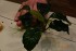 DSC_1583.JPG