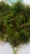 P_20180618_172606.jpg