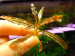 copy_256_copy_719_copy_876_DSCN3012.jpg