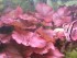 copy_465_20180531_185937.jpg
