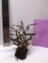 copy_795_IMG_5113.jpg
