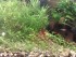 copy_80_220220161447.jpg