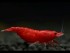 copy_999_copy_665_copy_620_copy_591_copy_1_hqdefault-1.jpg