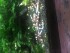 06F5D210-5712-402E-BE90-C3087CEFB0B4.jpeg
