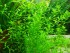 100_2322.JPG