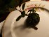 101_0010.JPG