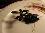 101_0013.JPG