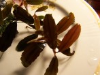 101_0016.JPG