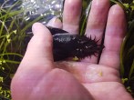 20180620_213857.jpg