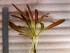 20180701_084415.jpg