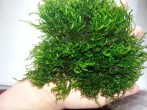 20180703_095601.jpg