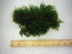 20180703_095651.jpg
