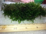 20180703_095714.jpg