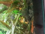 20180709_220751.jpg