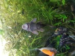 20180711_214323.jpg