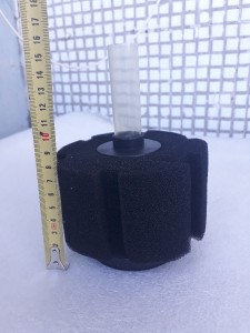 20180713_072630.jpg