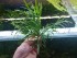 20180717_000714.jpg