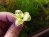 20180717_124540.jpg
