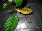 IMG_7967.JPG