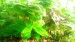 P_20180430_151218_p.jpg